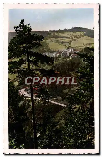 Cartes postales La Louvesc Paysage a Travers les Pins et Route d&#39Annonnay