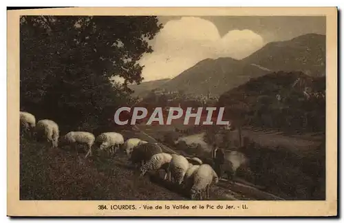 Cartes postales Lourdes Vue de la Vallee et le Pic du Jer Moutons