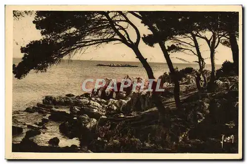 Cartes postales Antibes La Pinede