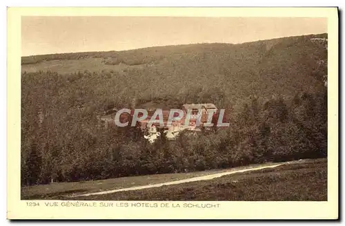 Cartes postales Vue Generale Sur Les Hotels De La Schlucht