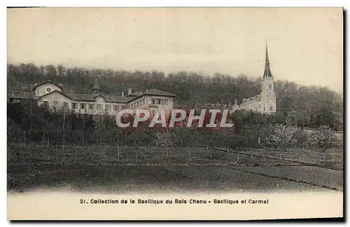 Ansichtskarte AK Collection de la Basillque du Bois Chenu Basiliquet carmel