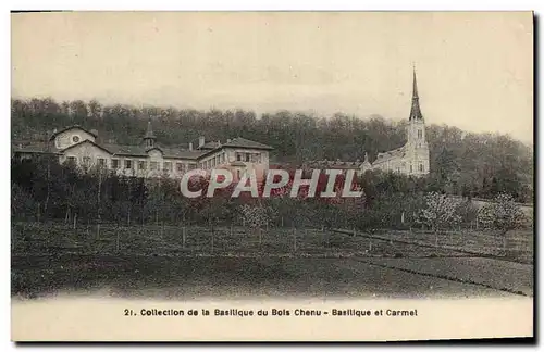 Cartes postales Collection de la Basillque du Bois Chenu Basiliquet carmel