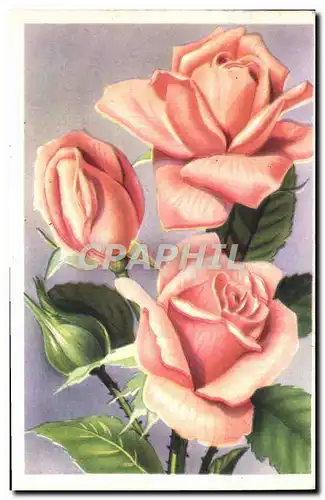 Cartes postales Fantaisie Fleurs Roses