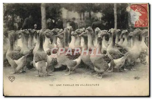 Ansichtskarte AK Une Famille En Villegiature Oies