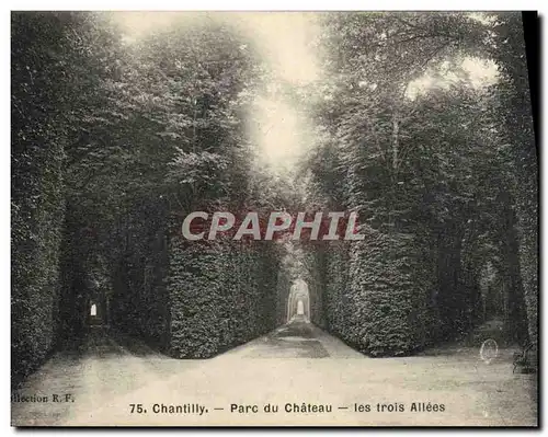 Cartes postales Chantilly Parc du Chateau Les trois allees