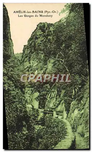 Cartes postales Amelie Les Bains Les Gorges Du Mondony
