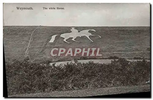 Cartes postales Weymonth The White House Cheval