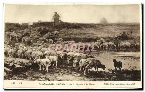 Cartes postales Guignard Le Troupeau A La Mare Musee Du Luxembourg Paris