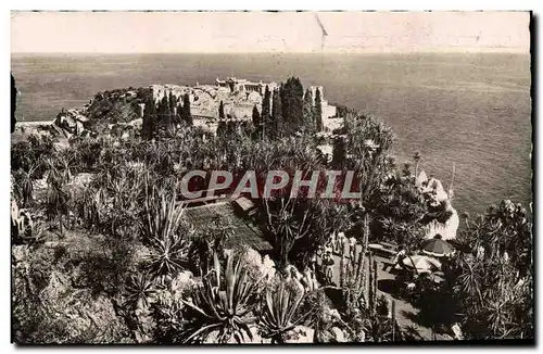 Cartes postales moderne Principaute De Monaco Le Jardin Exotique