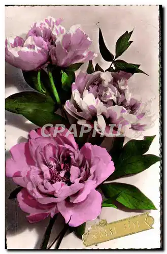 Cartes postales moderne Bonne Fete Fleurs