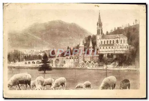 Ansichtskarte AK Lourdes La basilique Et Le Pic Du Jer Moutons