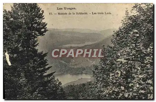 Ansichtskarte AK Les Vosges Montee De La Schlucht Les Trois Lacs