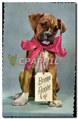 Cartes postales moderne chien