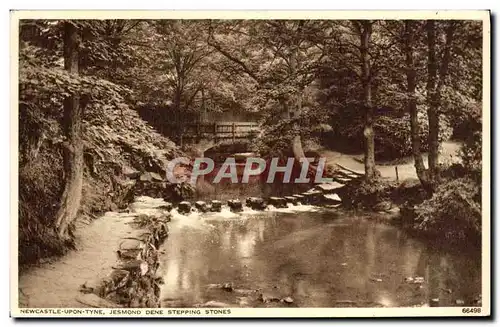 Ansichtskarte AK Newcastle upon Tyne Jesmond Dene stepping stones