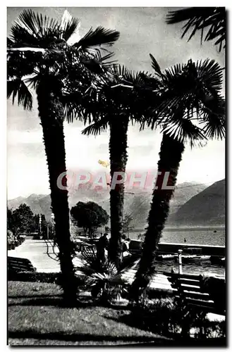 Cartes postales moderne Locarno Lungolago