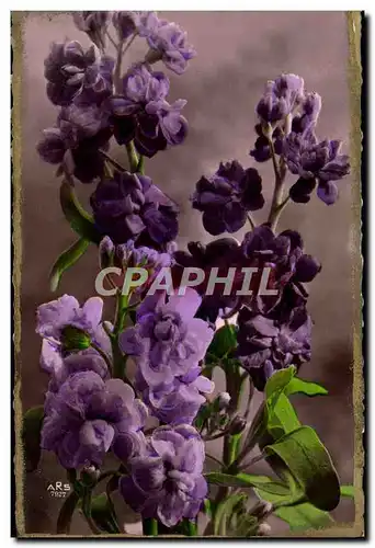 Cartes postales Fleurs