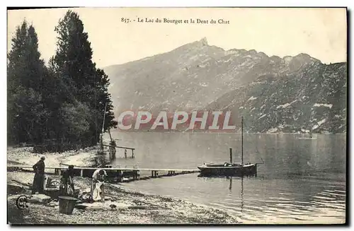 Cartes postales Le lac du Bourget et la dent du chat Lavandiere