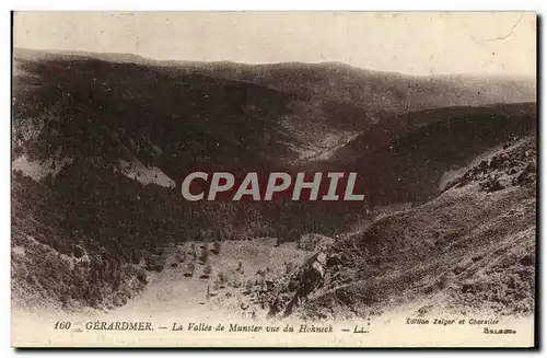 Cartes postales Gerardmer La Vallee de Munster Vue du Hohneck