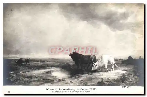 Cartes postales Musee Du Luxembourg Camille Paris Taureaux dans la campagne de Rome Vaches