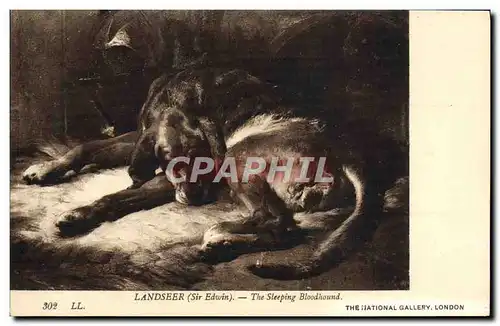 Ansichtskarte AK Landseer The Sleeping Bloodhound Chien National Gallery london