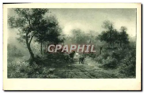 Cartes postales Paysage Vaches