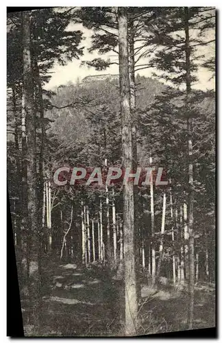 Cartes postales Mont Sainte Odile