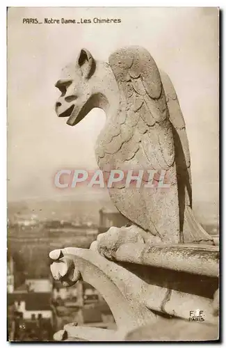 Ansichtskarte AK Paris Notre Dame Les Chimeres