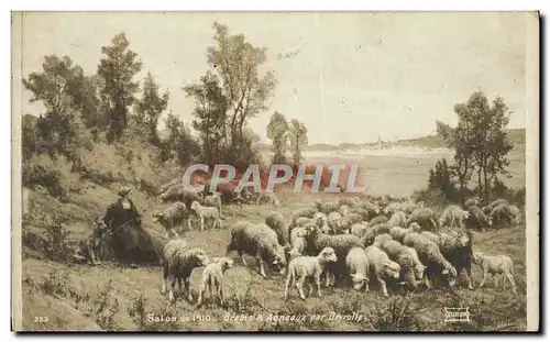 Cartes postales Salon De 1910 Brebis Agneaux Par Deyrolle Moutons