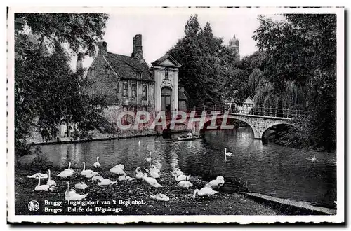 Cartes postales Bruges Entree Du Beguinage Cygnes