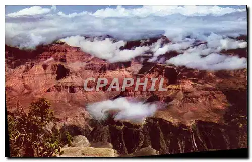 Cartes postales moderne Grand Canyon