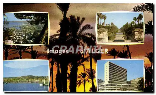 Cartes postales moderne Souvenir D'Alger