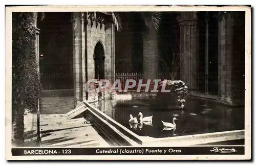 Cartes postales Barcelona Catedral Fuente Y Ocas