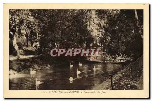 Cartes postales Chalons Sur Marne Promenades Du Jard Cygnes