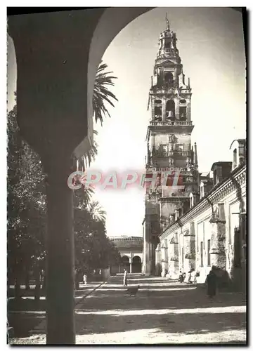 Cartes postales Cordoba Patio De Los Naranjos Y Torre De La Catedral