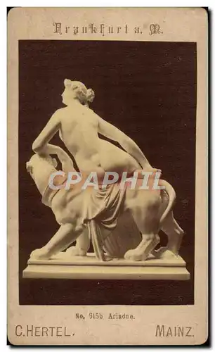 Cartes postales C Hertel Mainz Panthere