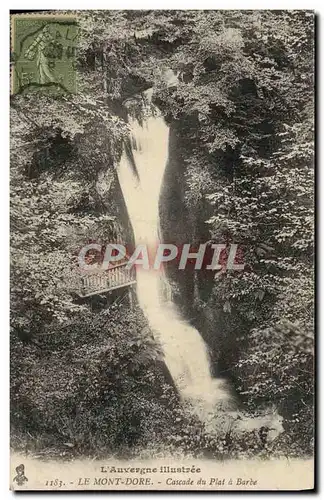 Ansichtskarte AK Le Mont Dore Cascade du Plat a Barbe