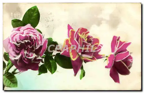 Cartes postales Fantaisie Fleurs