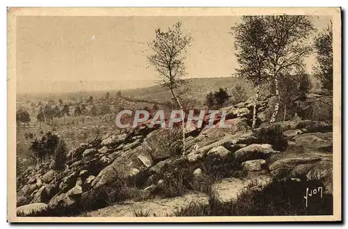 Cartes postales Fontainebleau La Foret Le Descrt d&#39Apremont