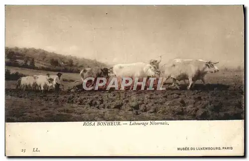 Cartes postales Rosa Bonheur Labourage Nivernais Musee Du Luxembourg Paris Boeufs