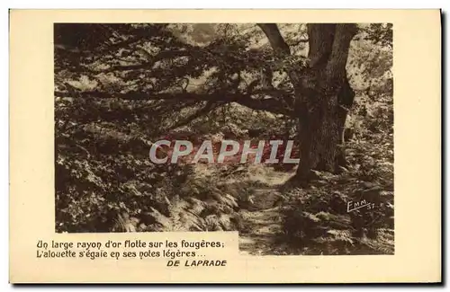 Cartes postales Un Large Rayon D&#39Or Flotte Sur Les Fougeres L&#39Alouette s&#39Egaie En Ses Notes Legeres De