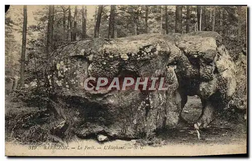 Cartes postales Barbizon La Foret L&#39Elephant