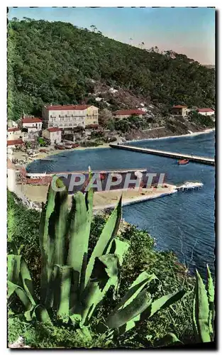 Cartes postales moderne Les Les d'Or Ile De Port Cros Le Port Et l'Hostellerie