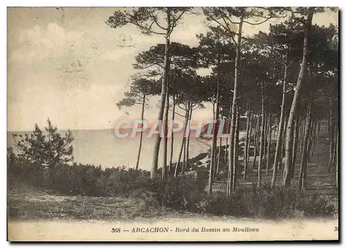 Ansichtskarte AK Arcachon Bord Du Bassin Au Moulleau