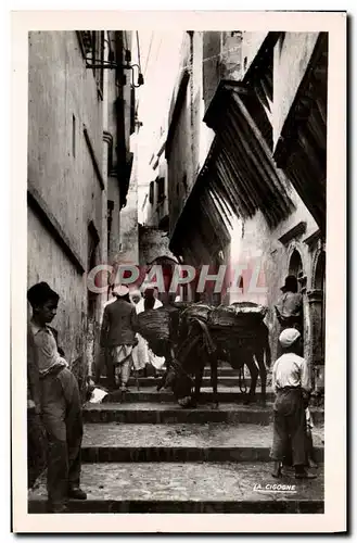 Cartes postales moderne Alger Casbah Rue N&#39Fissah Ane Mule