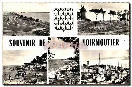 Cartes postales moderne Souvenir de Noirmoutier