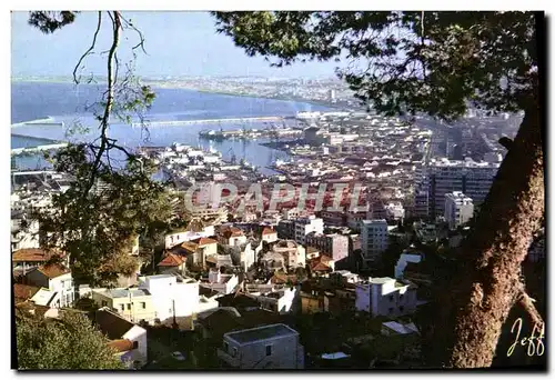 Cartes postales moderne Alger Vue Panoramique