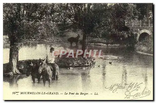 REPRO Mourmelon Le Grand Le Pont du Berger Cheval