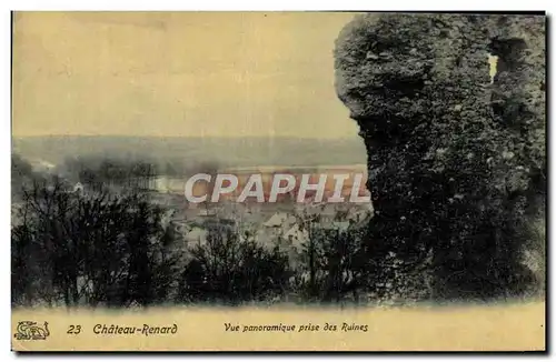 Cartes postales Chateau Renard Vue Panoramique Prise des Ruines