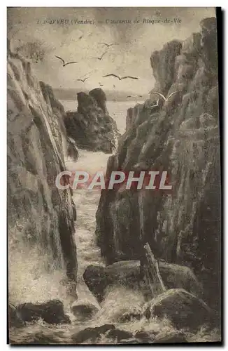 Cartes postales Ile d'Yeu Courseau de Risque au Vie