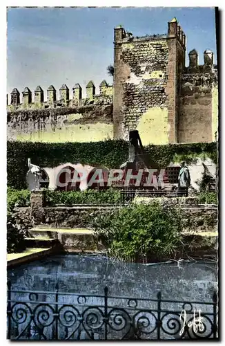 Cartes postales moderne Rabat Jardin des Oudaia Cigogne